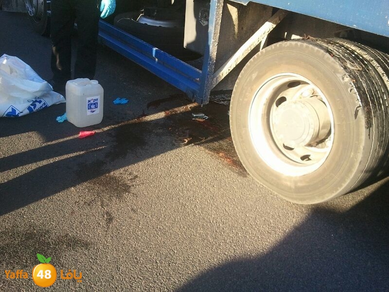 sha7enaramlalud527 (7).jpg